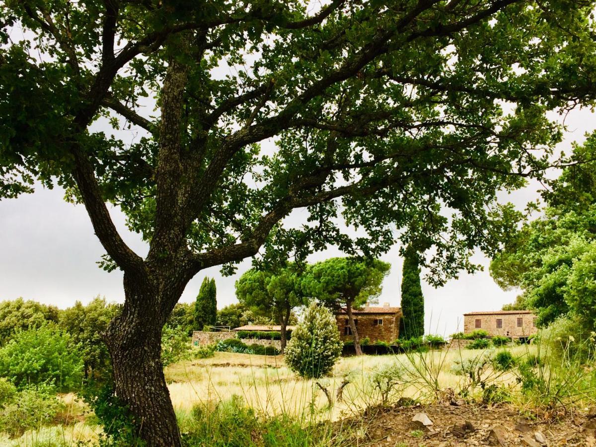 Villa Nocini Di Maremma Tatti Exterior foto